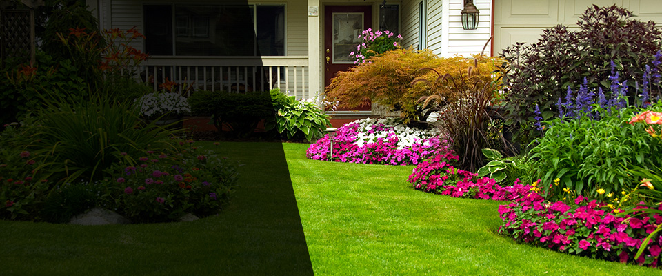 Laurel Hill Landscapers