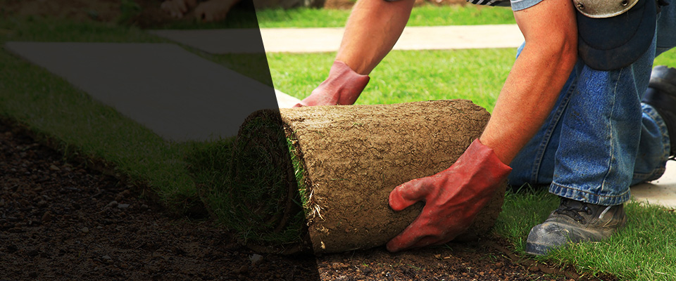 Laurel Hill Landscapers